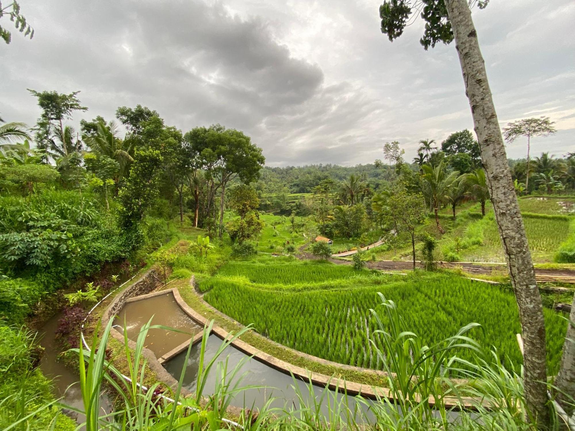 The Alam Tetebatu Bungalow & Restaurant Luaran gambar