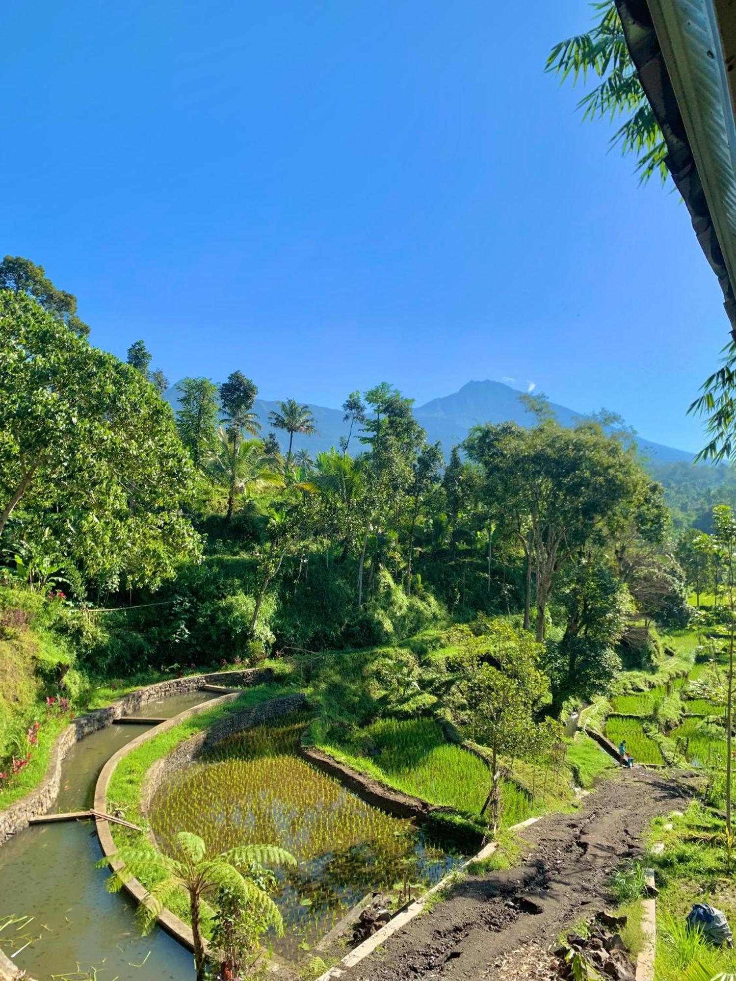The Alam Tetebatu Bungalow & Restaurant Luaran gambar