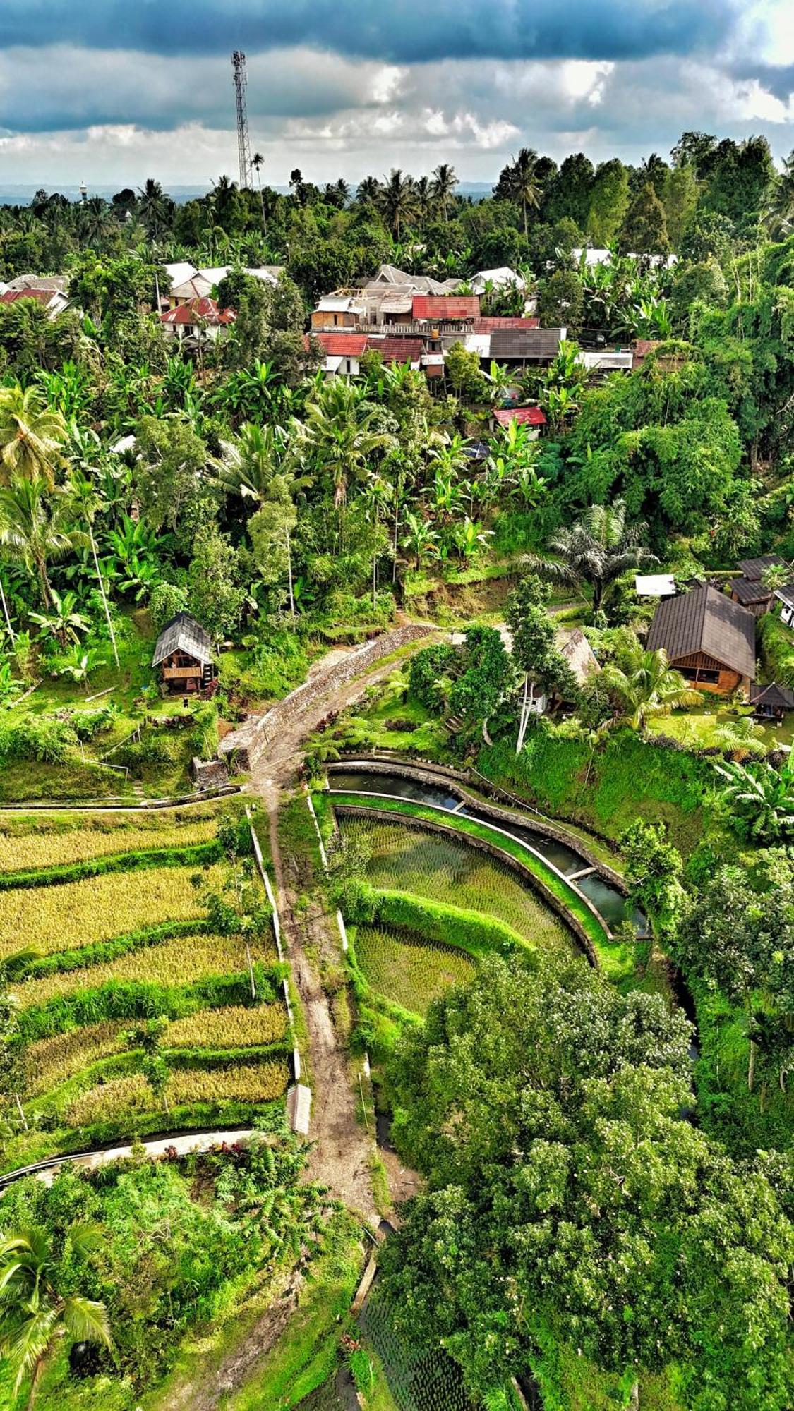 The Alam Tetebatu Bungalow & Restaurant Luaran gambar
