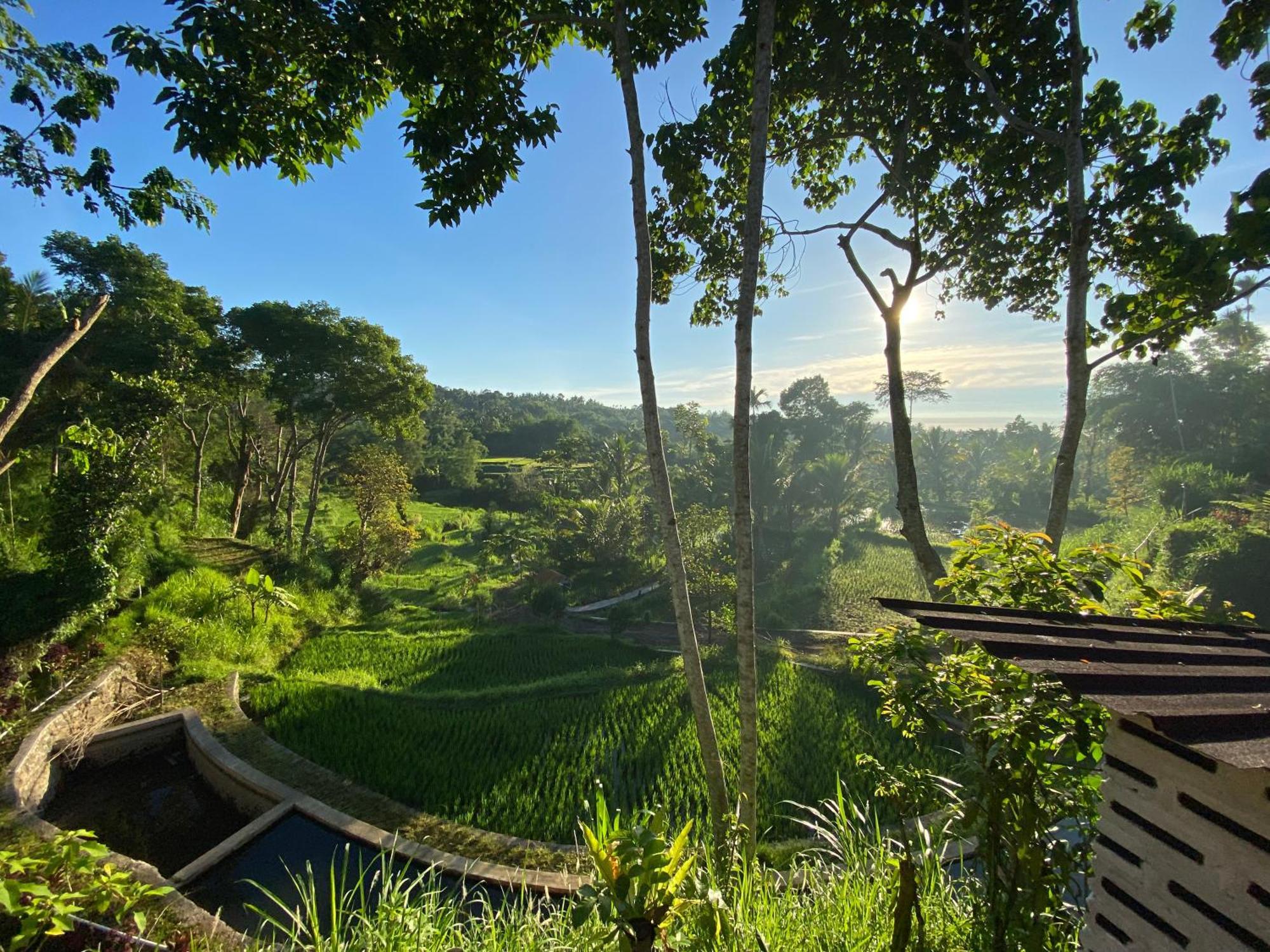 The Alam Tetebatu Bungalow & Restaurant Luaran gambar